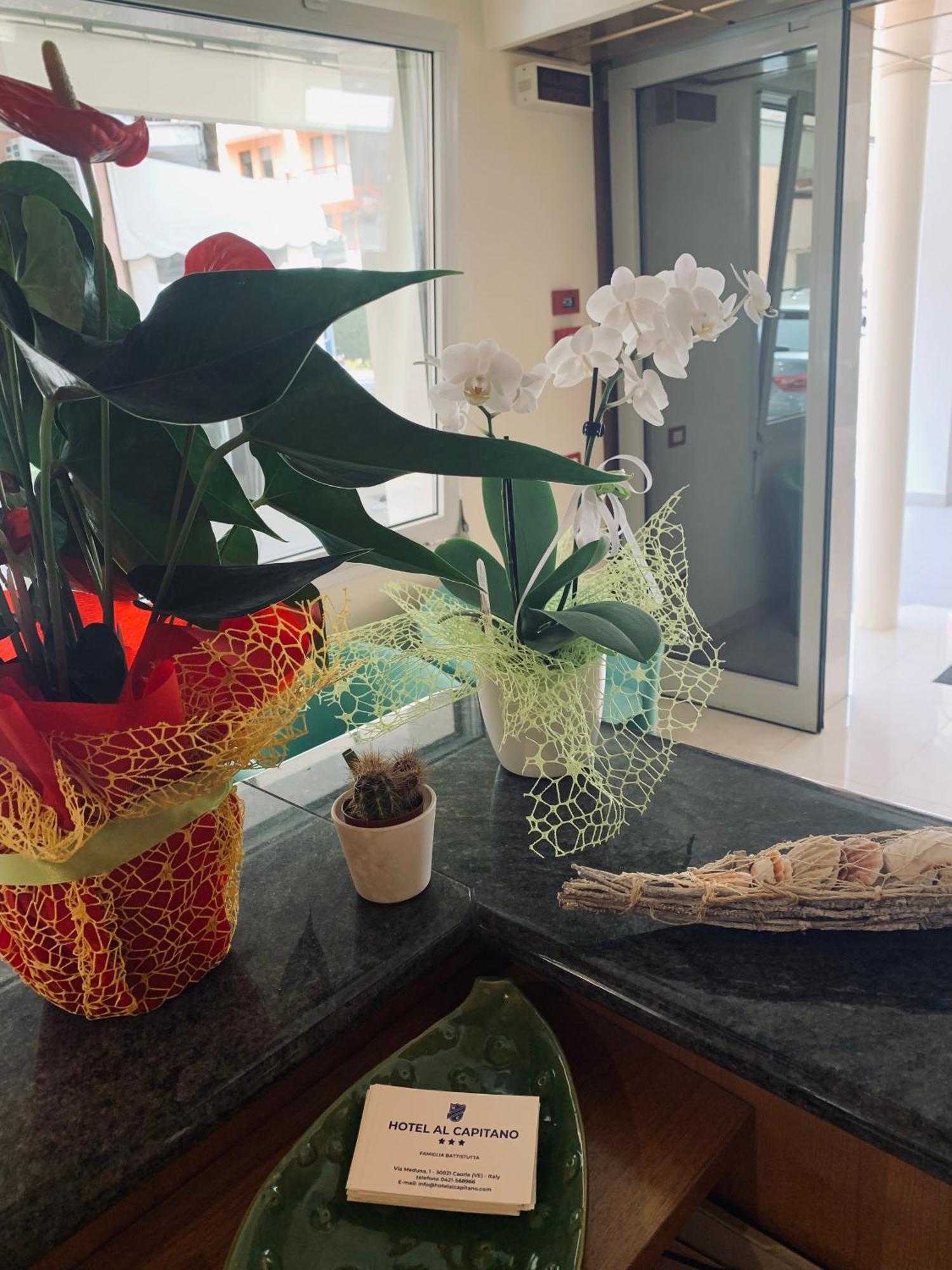 Hotel Al Capitano 카오를레 외부 사진